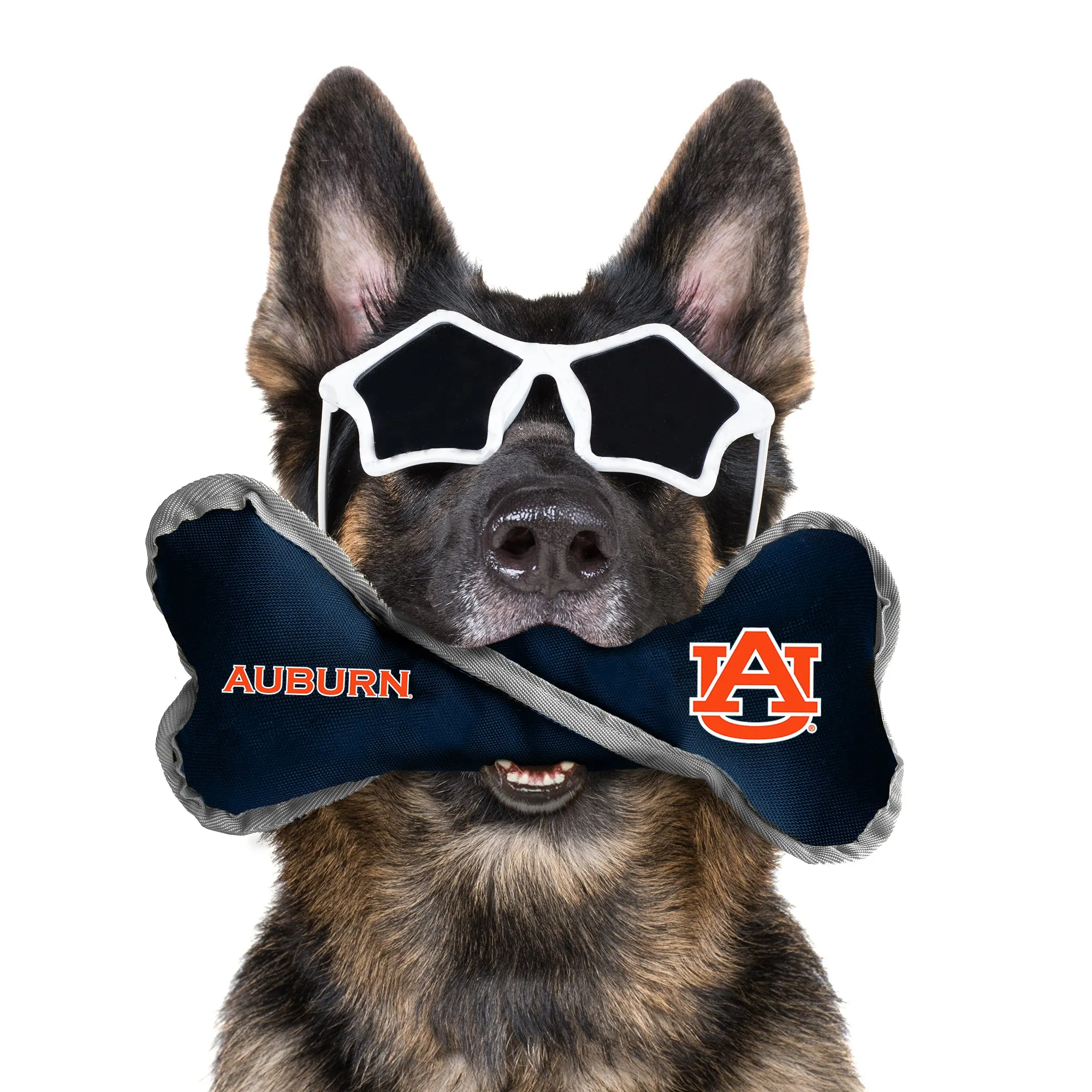 Auburn University Pet Tug Bone