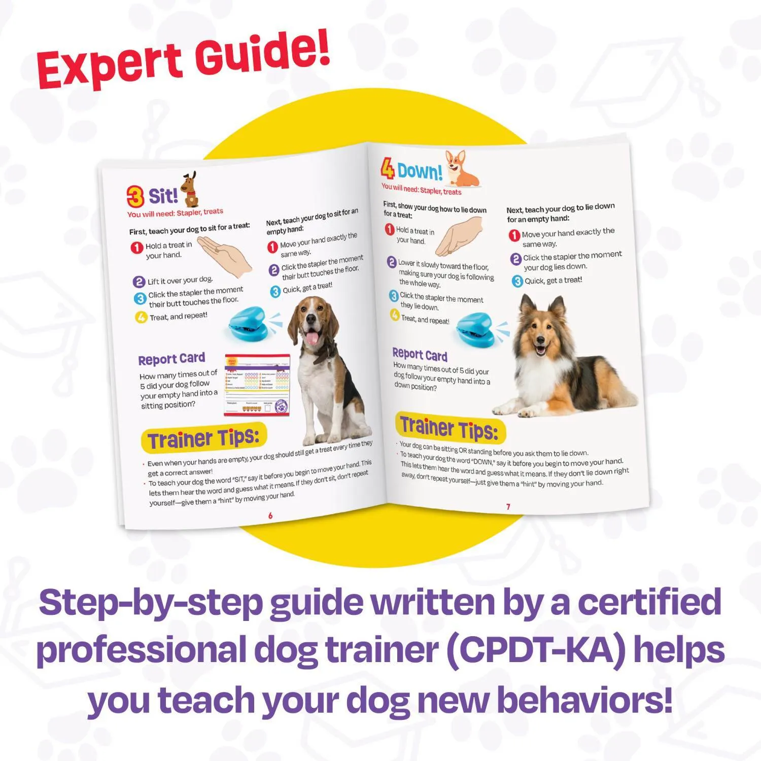 Brightkins Pooch School! Interactive Dog Training Set