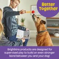 Brightkins Pooch School! Interactive Dog Training Set