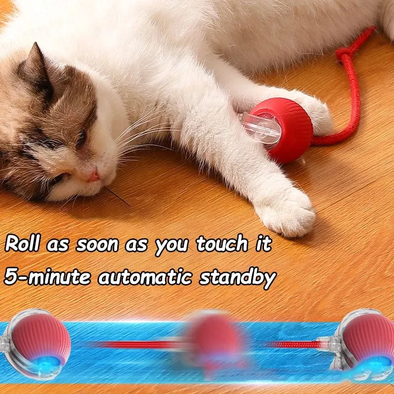 Cat Interactive Smart Rolling Ball