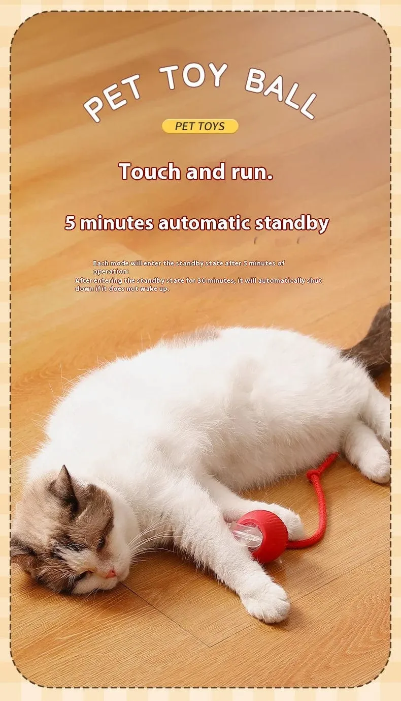 Cat Interactive Smart Rolling Ball