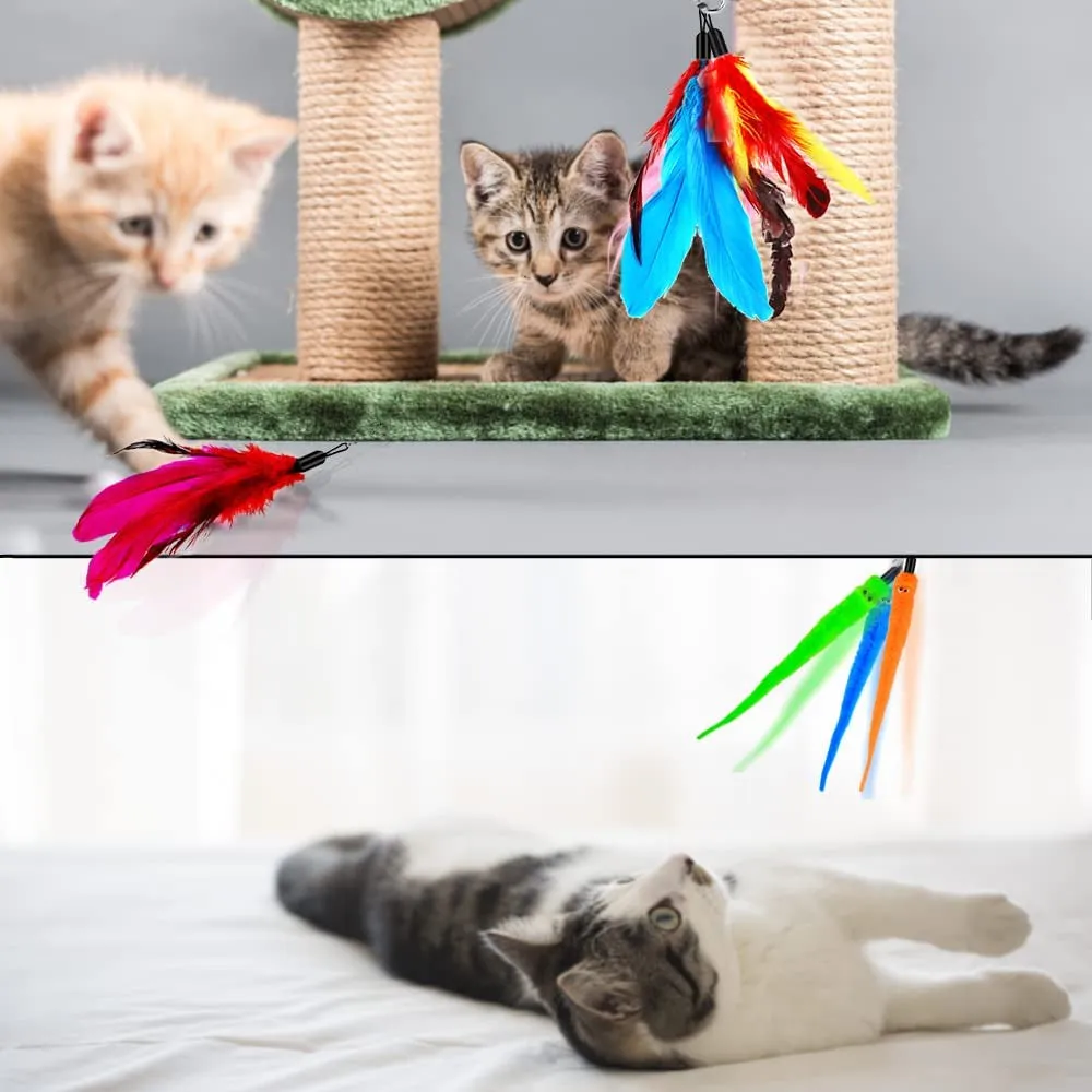 Cat Toy Wand - Meet Feather Frenzy! 🐾✨