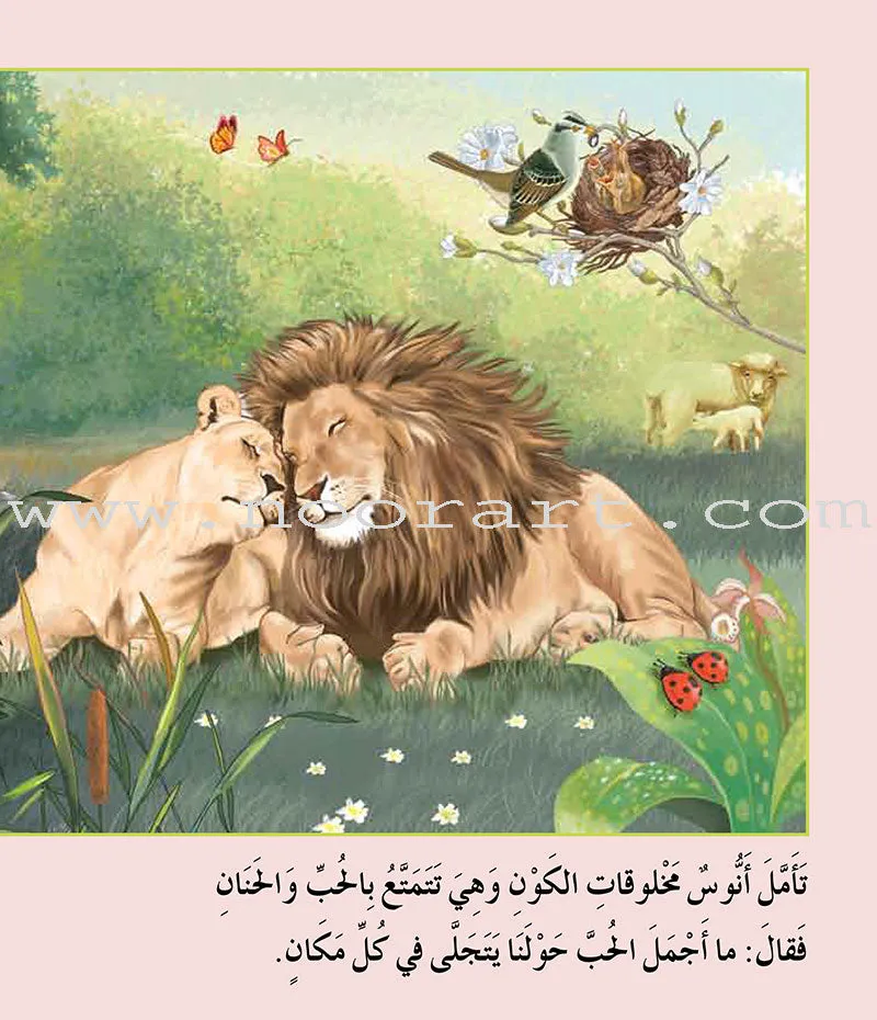 Contemplate With Anoos Stories - Love Series - Level 3 (4 Books, with Audio CD) منهاج تفكر مع أنوس سلسلة الحب