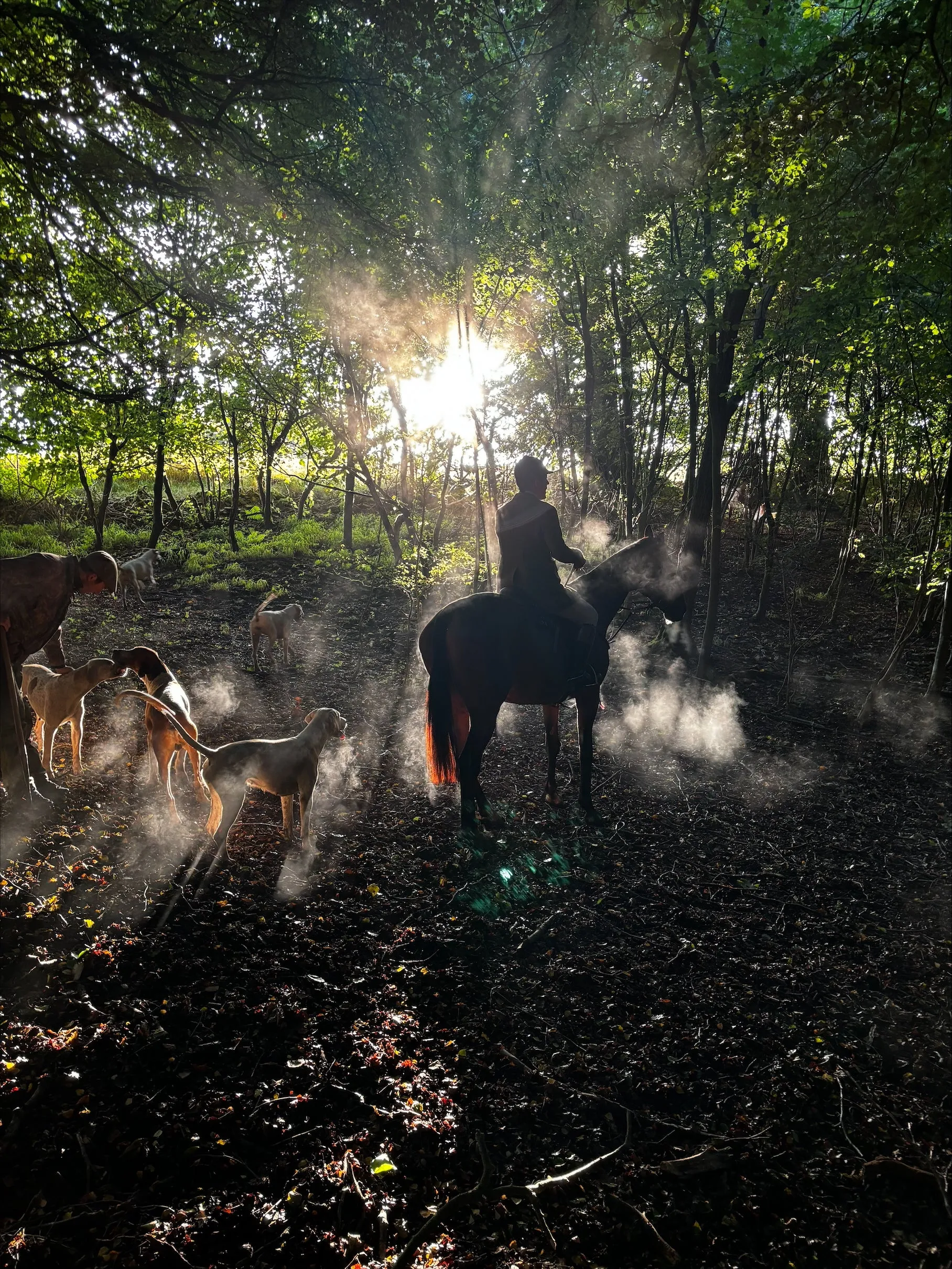 Glaze & Gordon Countryside Charity Calendar 2025