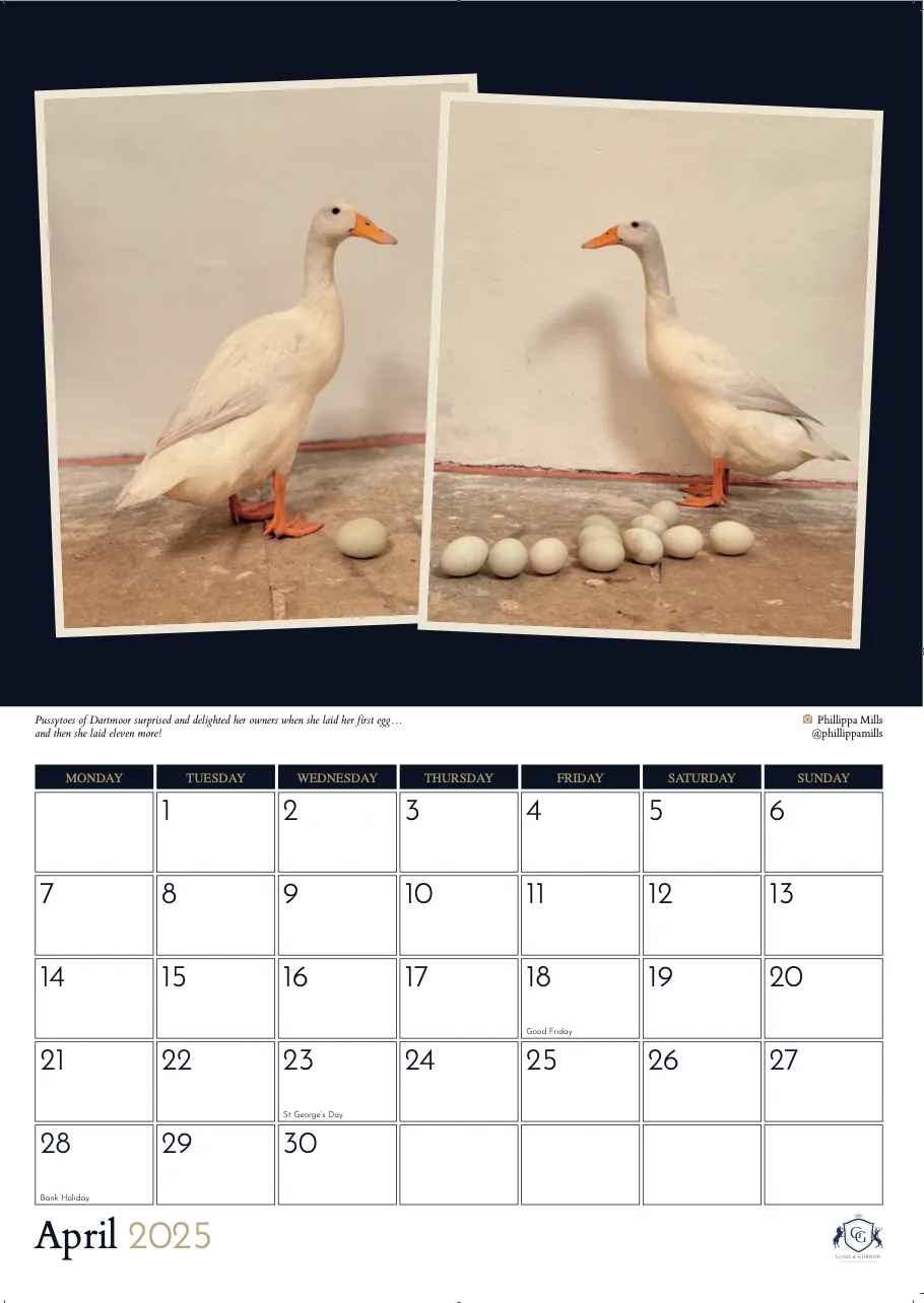 Glaze & Gordon Countryside Charity Calendar 2025