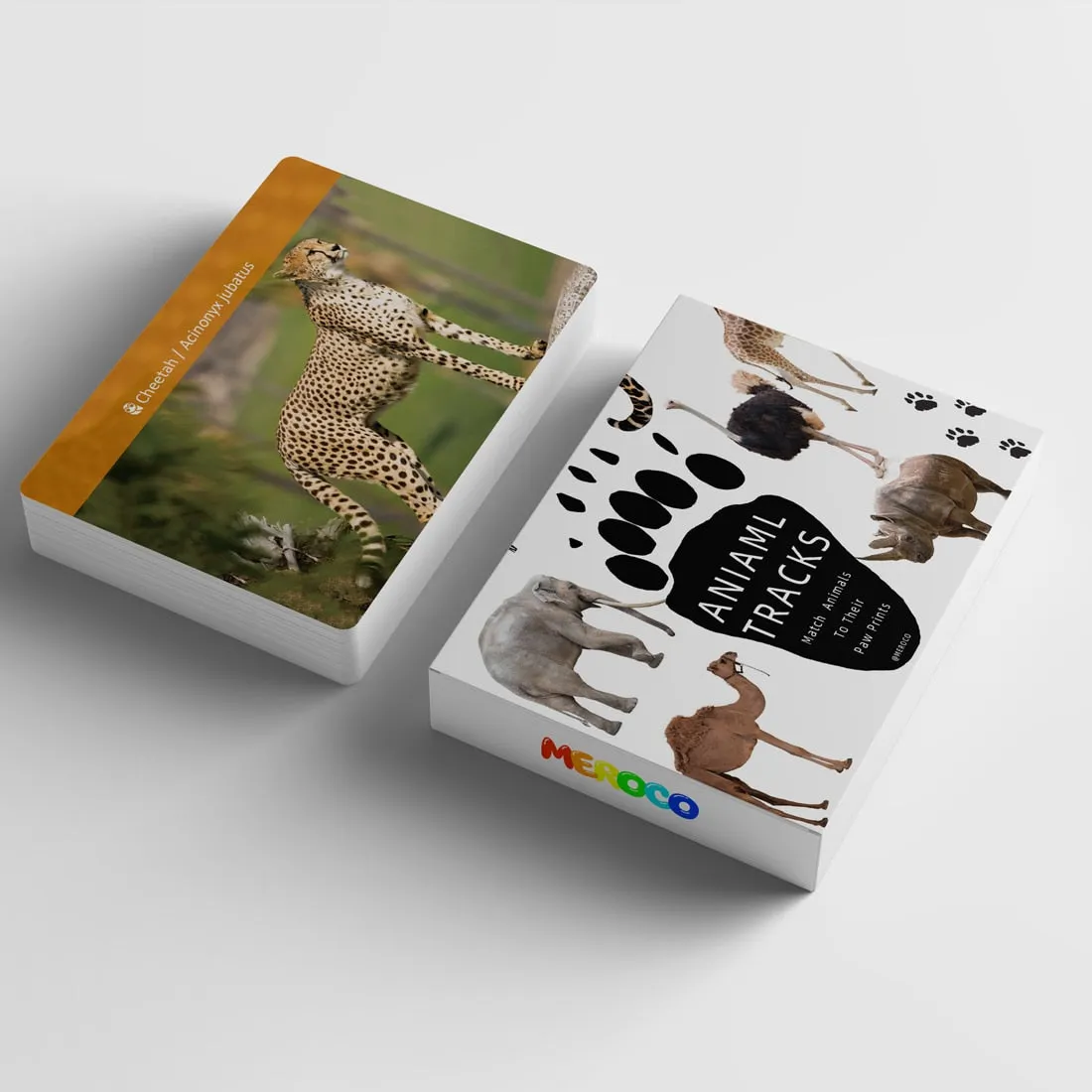 Interactive African Animal Footprint Flash Cards for Kids Educational Fun