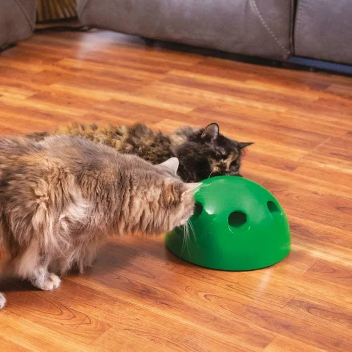 JML Pop N Play Interactive Cat Toy