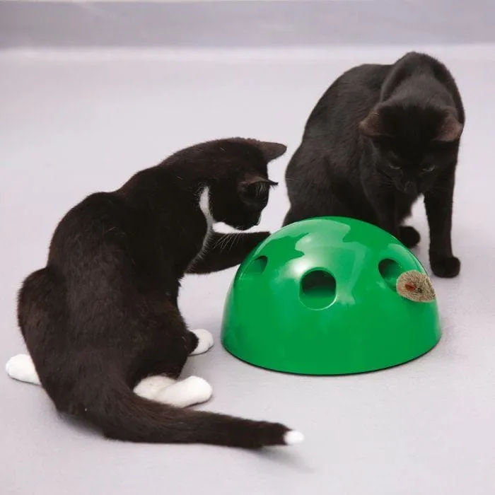 JML Pop N Play Interactive Cat Toy