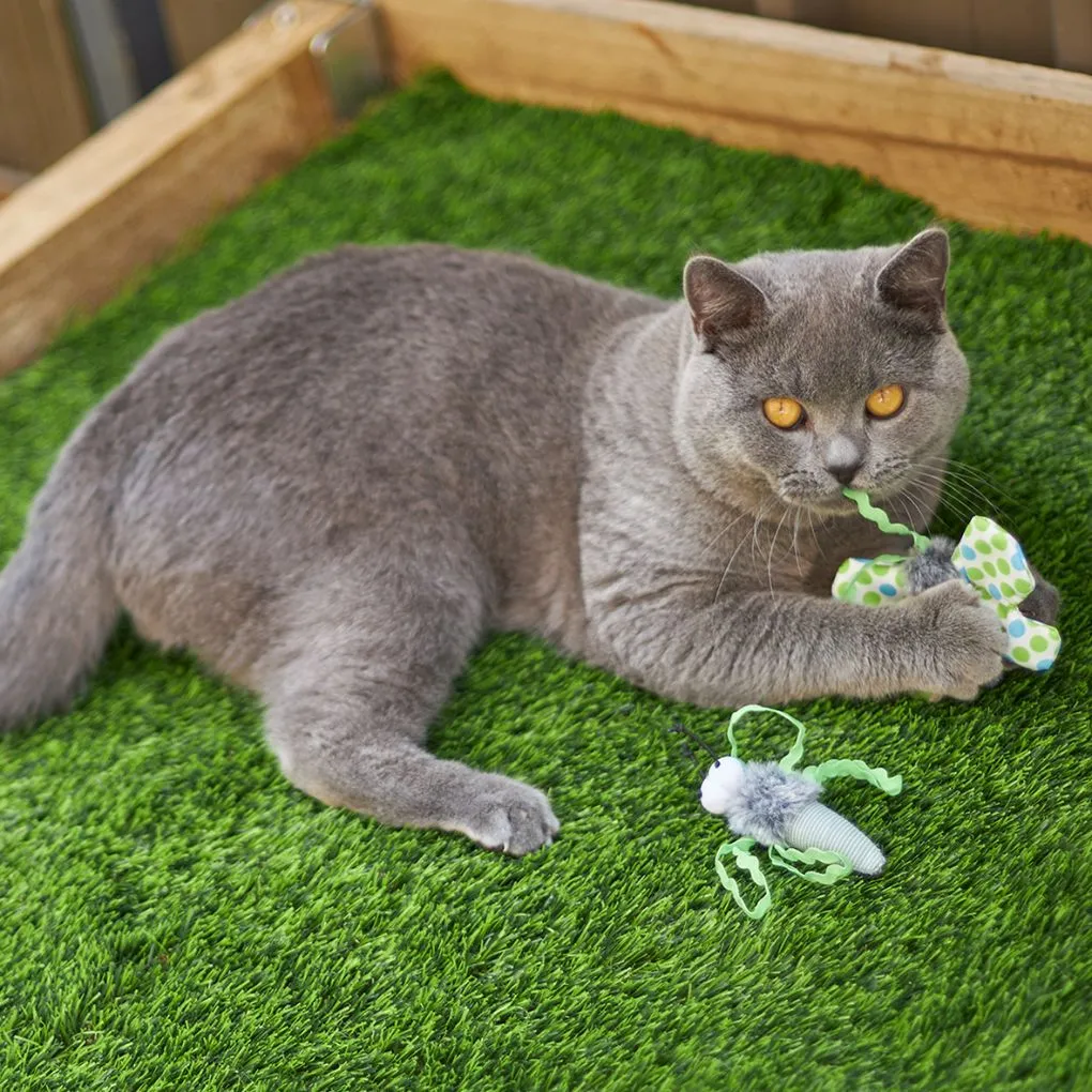 Kazoo Flutterby Cat Toy