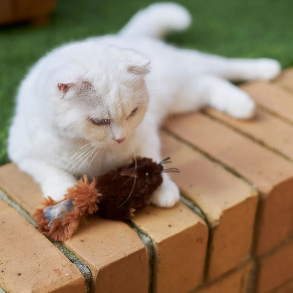 Kazoo Squishy Squirrel Cat Toy