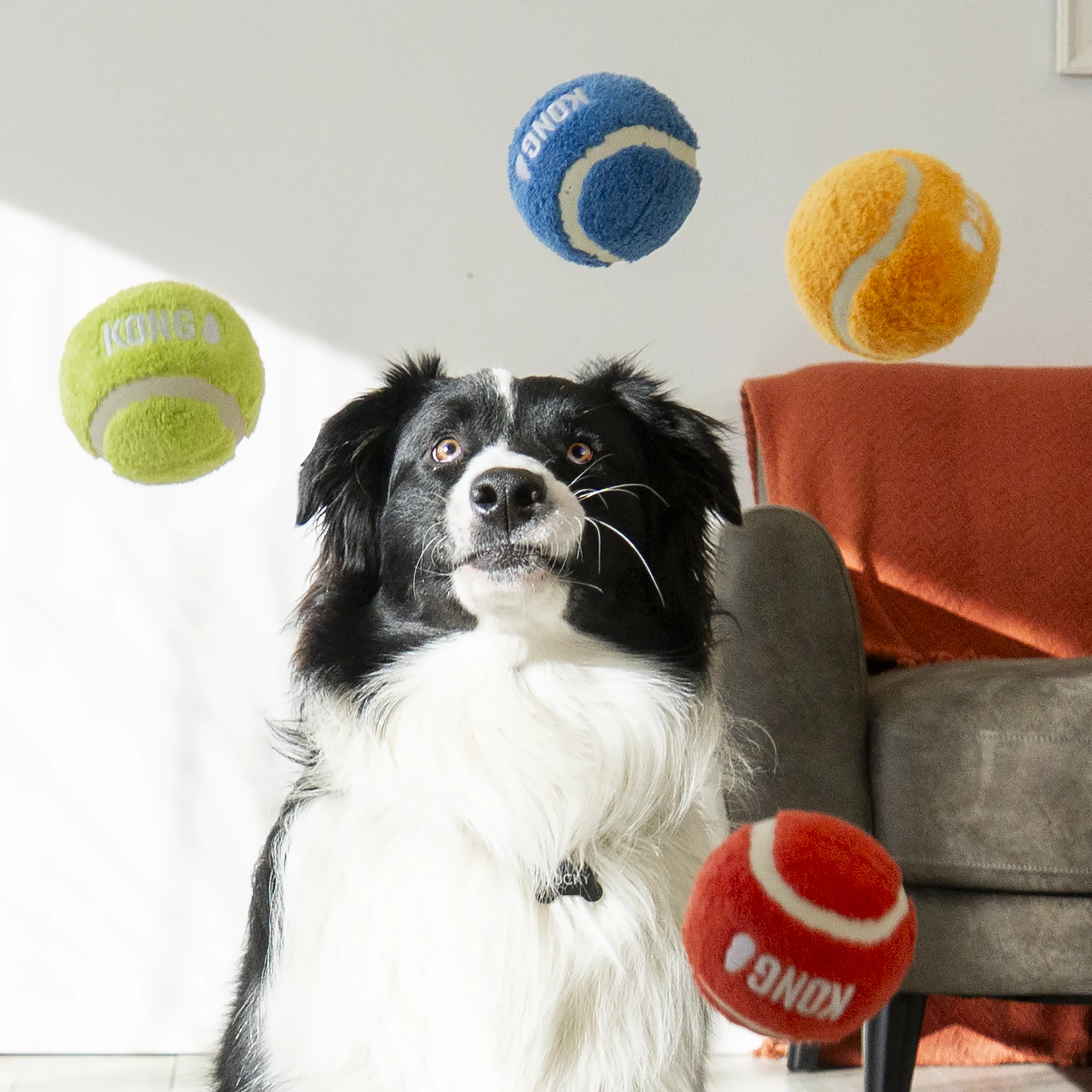 KONG Sport Softies Ball Assorted Dog Toy