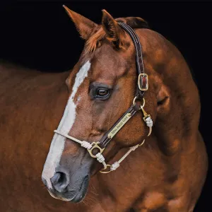 Leather Lariat Hybrid Halter