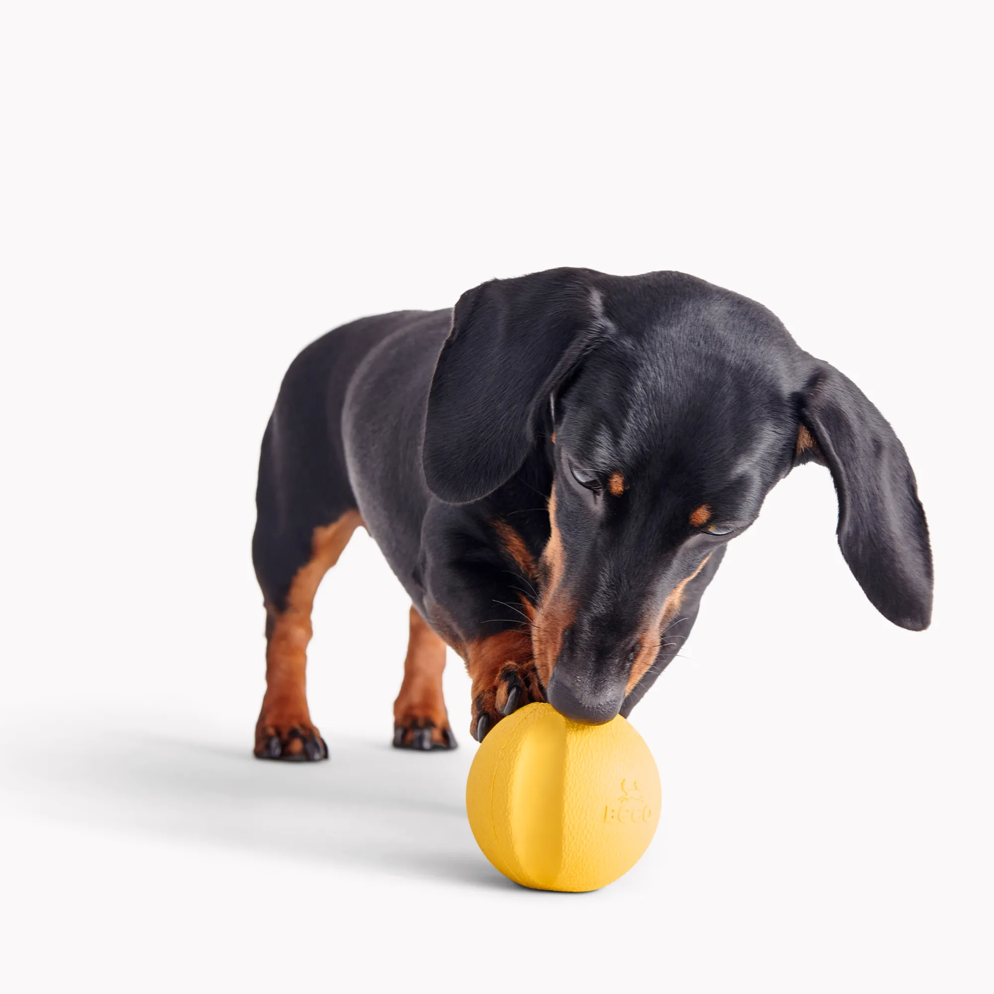 Natural Rubber Fetch Ball