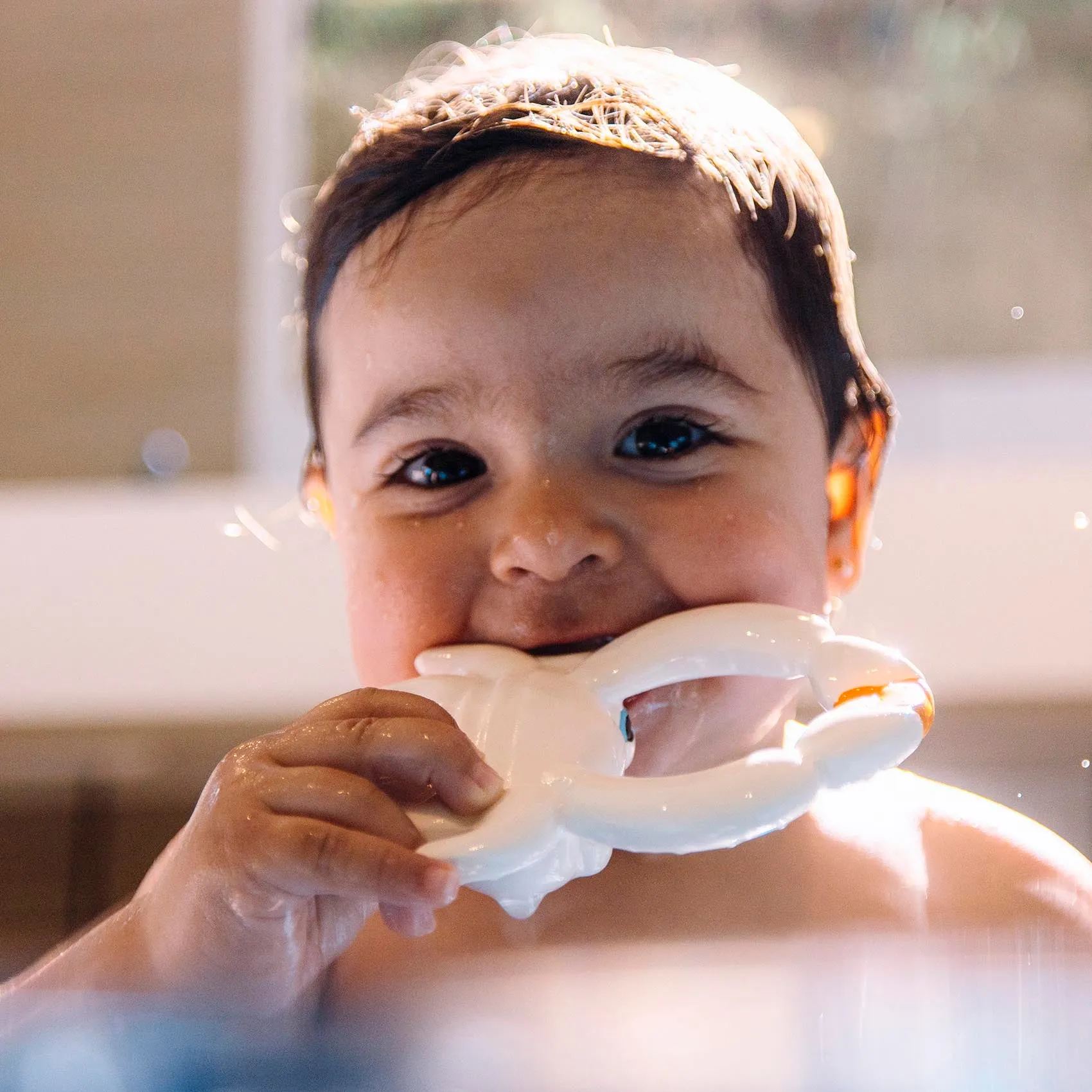 Oli & Carol Sharon The Crab Bath Toy