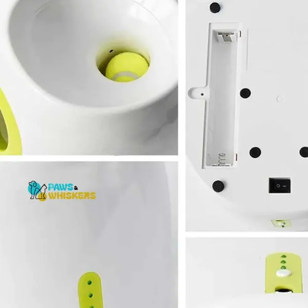 Paws & Whiskers Automatic Dog Tennis ball Launcher