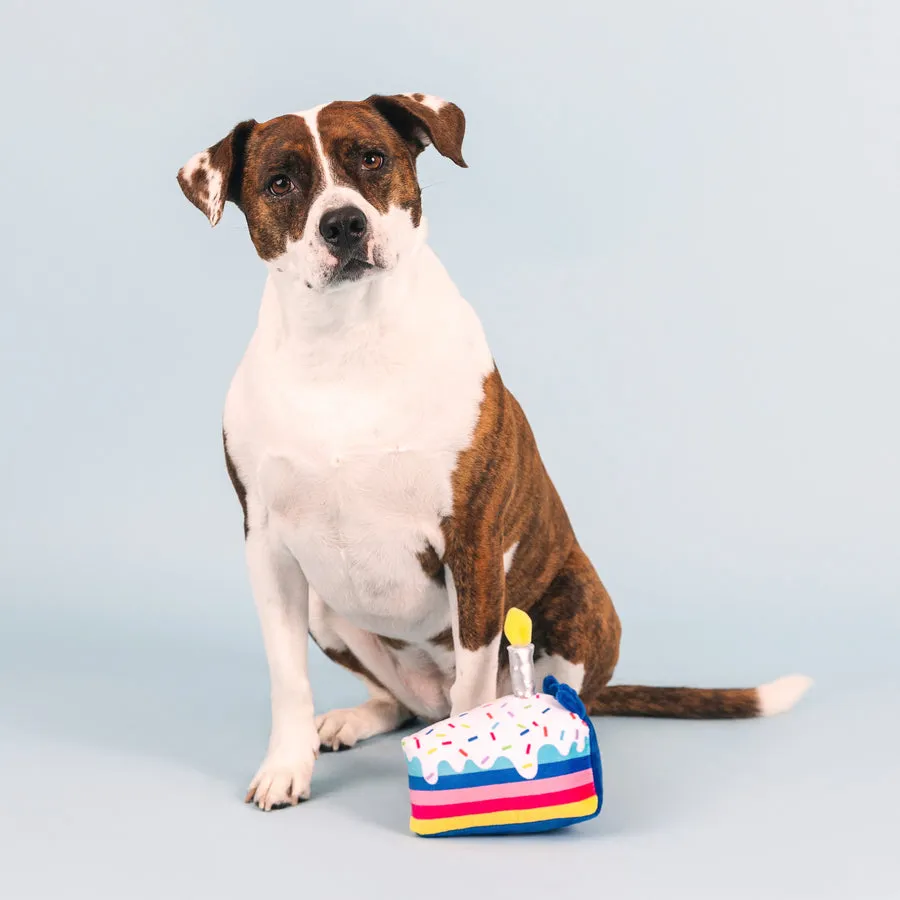 PETSHOP CAKE IT EASY DOG TOY