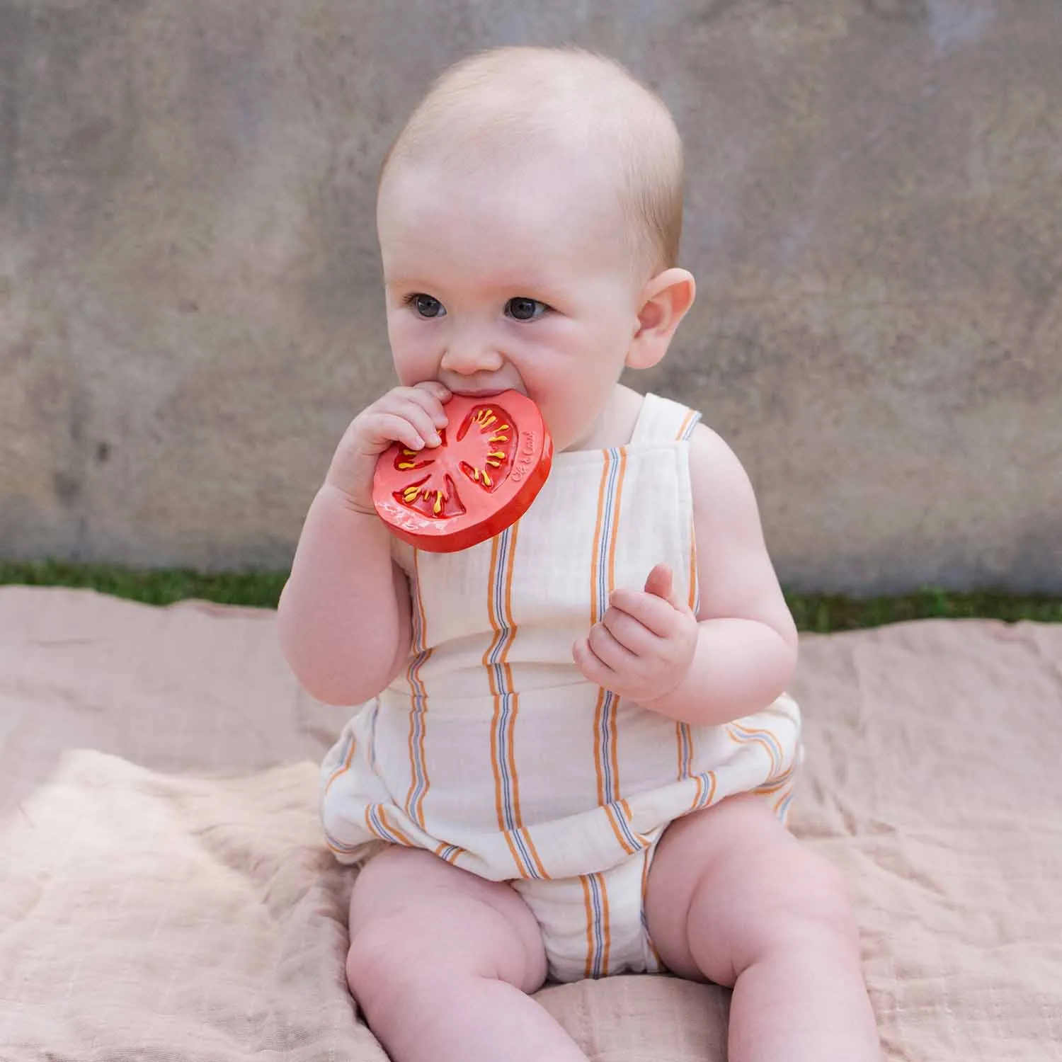 Renato the Tomato Baby Teether