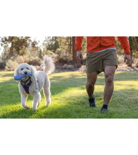 Ruffwear Gourdo™ Interactive Rubber Throw Dog Toy (Sage Green)