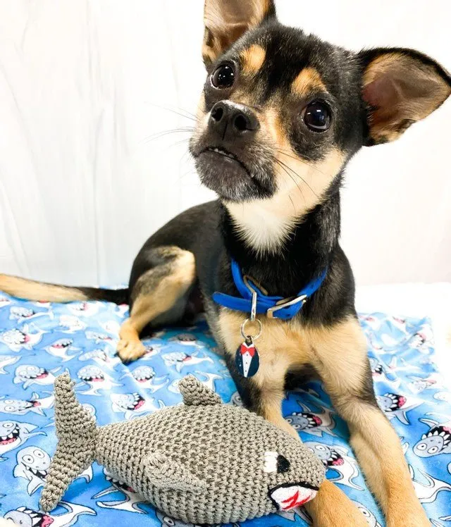 Shark Crochet Plush Toy