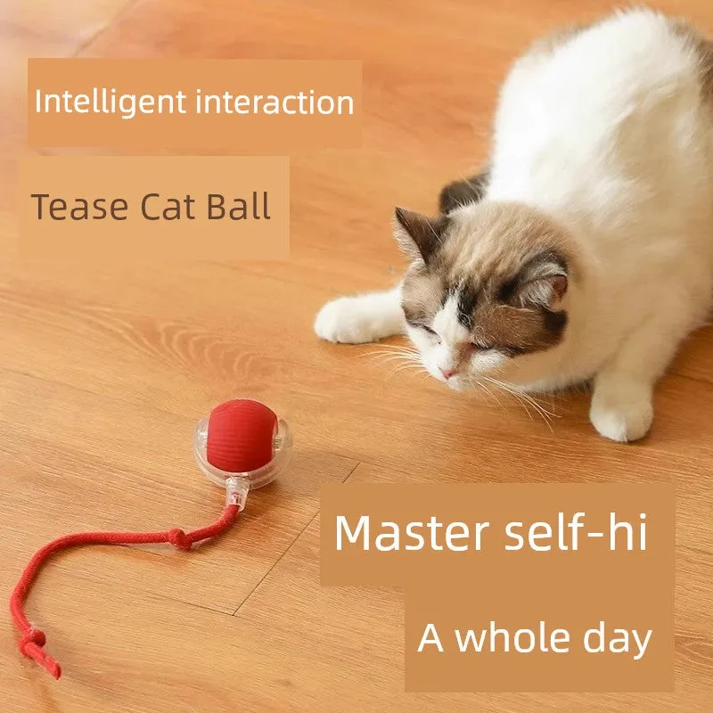 Smart Interactive Cat Teasing Ball