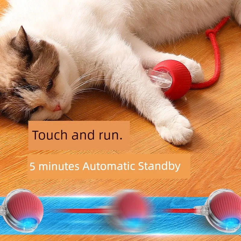 Smart Interactive Cat Teasing Ball