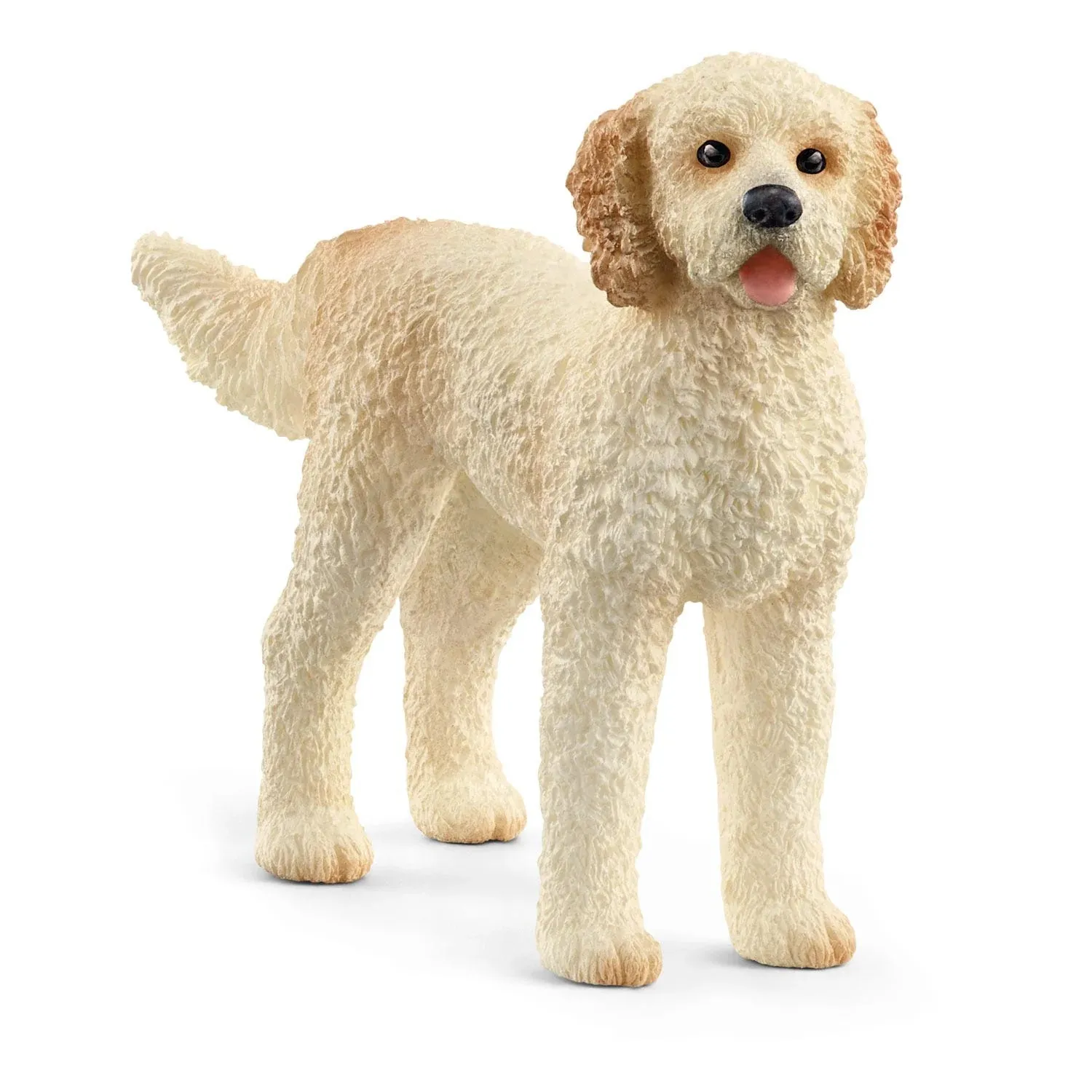 Toy | Goldendoodle