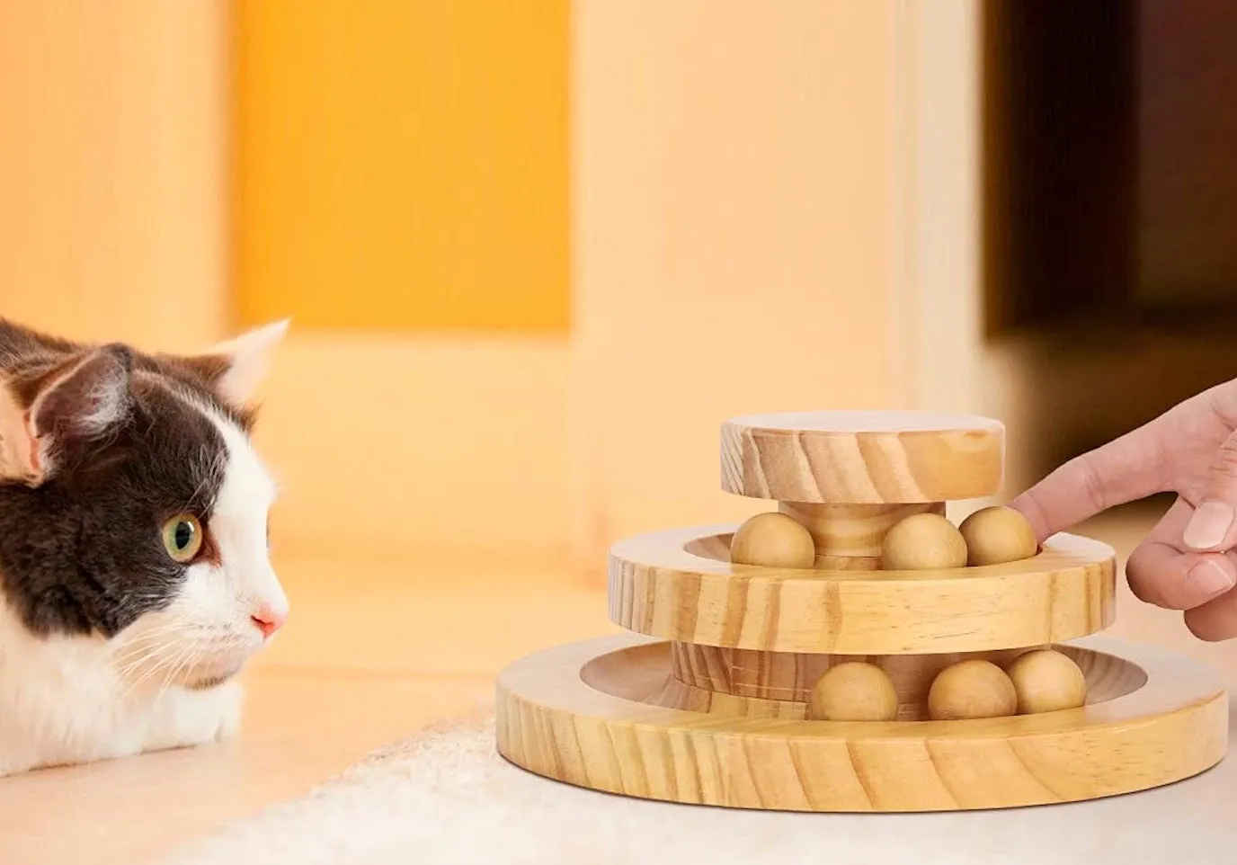 Wooden Rolling Ball Cat Toy